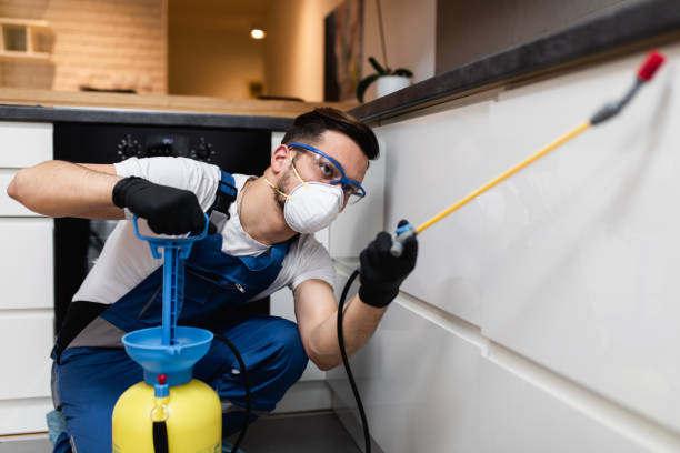 Best Pest Control for Homes  in Mapleton, ND