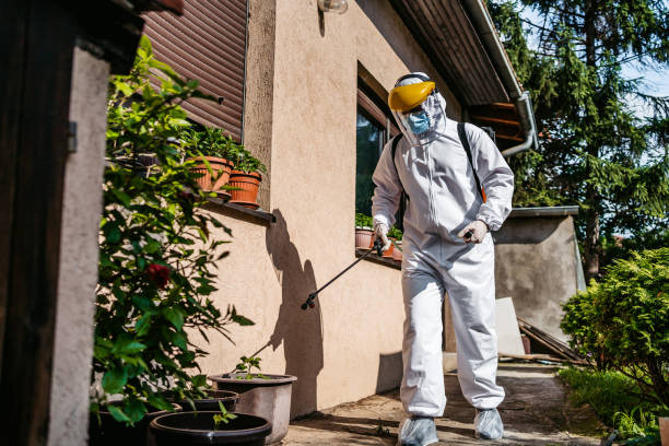 Best Pest Prevention Services  in Mapleton, ND