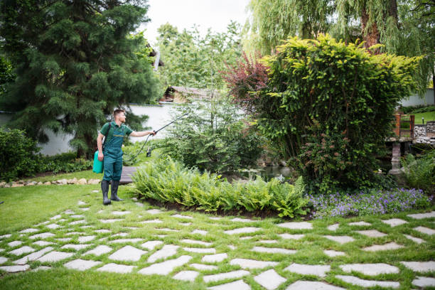 Best Insect Control  in Mapleton, ND