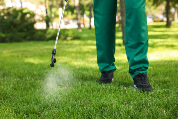 Best Best Pest Control Companies  in Mapleton, ND