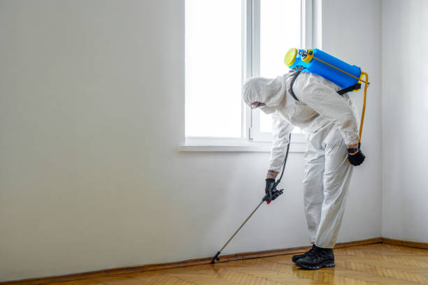 Best Pest Control Cost  in Mapleton, ND