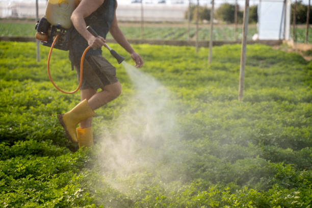 Best Pest Removal Services  in Mapleton, ND