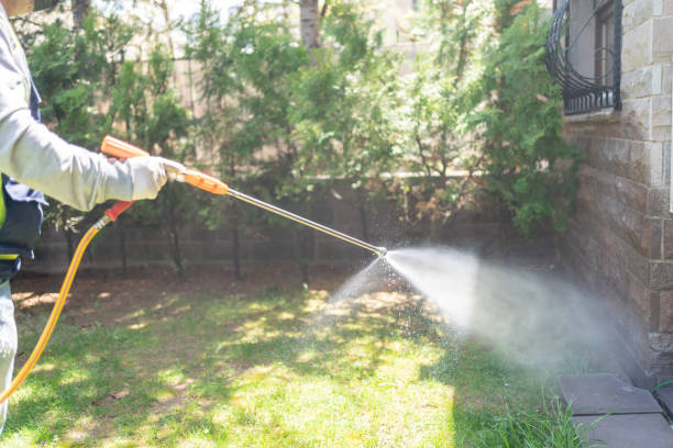 Best Spider Control Near Me  in Mapleton, ND