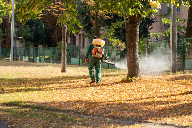 Best Pest Control Near Me  in Mapleton, ND