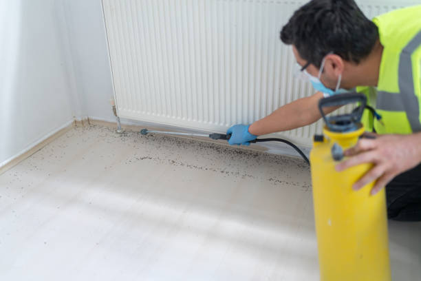 Best Best Pest Control Companies  in Mapleton, ND
