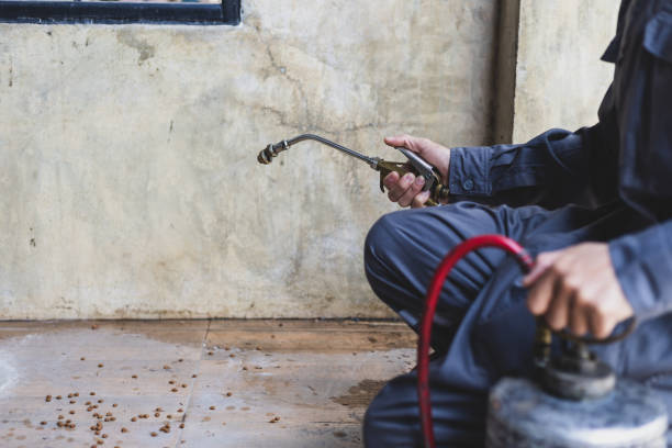 Best Best Pest Control Companies  in Mapleton, ND