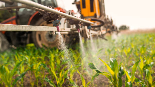 Reliable Mapleton, ND Pest Control Solutions